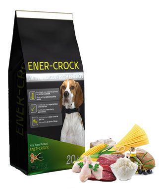 Enercrock-high-energy