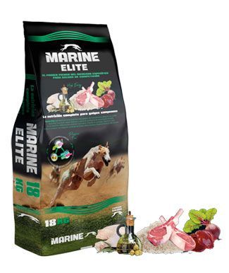 Marine - Elite
