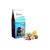 paski-dog-cachorros-4